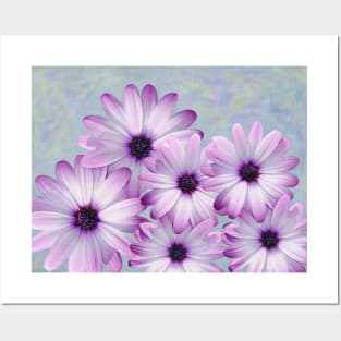 Purple Daisy Flowers Posters and Art